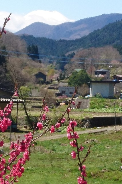 f:id:PoN3:20210410233258j:image f:id:PoN3:20210410233258j:image