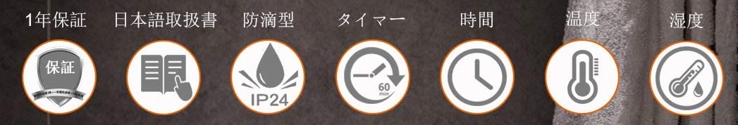 f:id:Pochita:20210626154306j:plain