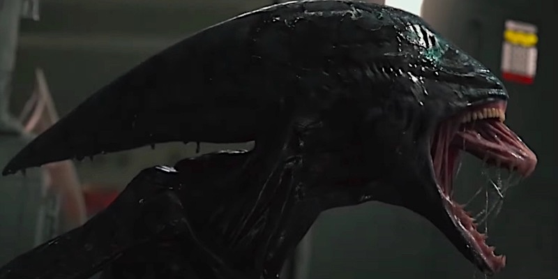 一覧表】映画エイリアン生物図鑑「エイリアン〜ロムルス