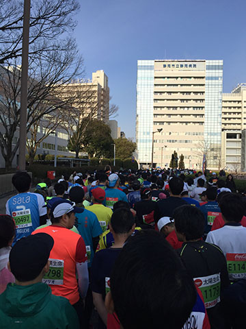 f:id:PoisonedRunner:20190225095701j:plain f:id:PoisonedRunner:20190225095701j:plain