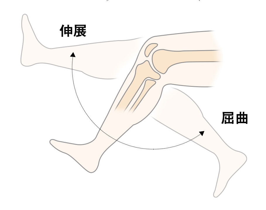 f:id:PojiShuri:20220110144914j:plain