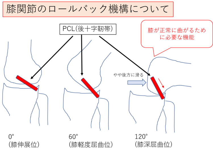 f:id:PojiShuri:20220110145047p:plain