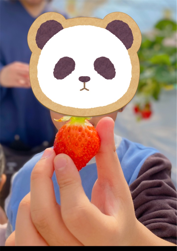 f:id:Pokoburin:20250227164100j:image