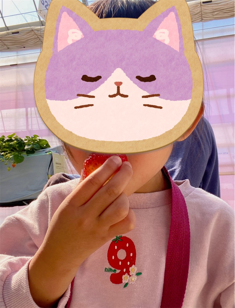 f:id:Pokoburin:20250227164104j:image