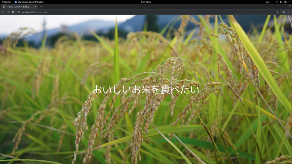 f:id:Polyomino:20190210221157p:plain