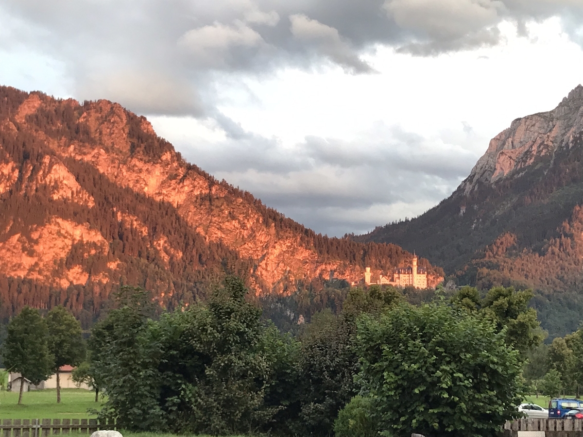 f:id:PommePommeRingo:20210717043331j:plain