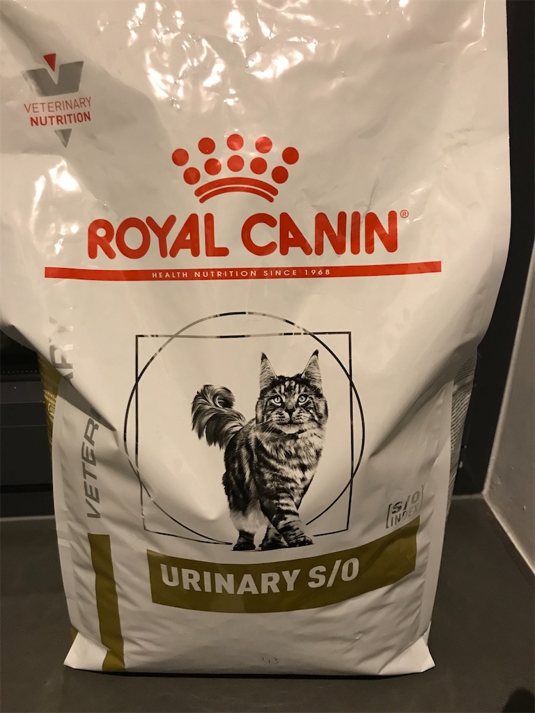 f:id:PommePommeRingo:20220109084206j:image