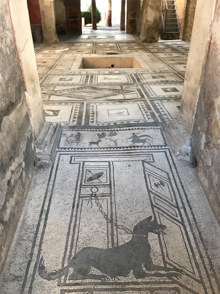 f:id:PommePommeRingo:20220127083938j:image f:id:PommePommeRingo:20220127083938j:image