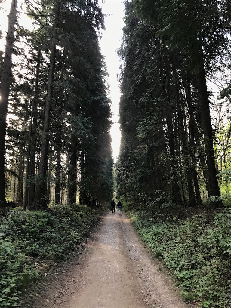 f:id:PommePommeRingo:20220418215842j:image