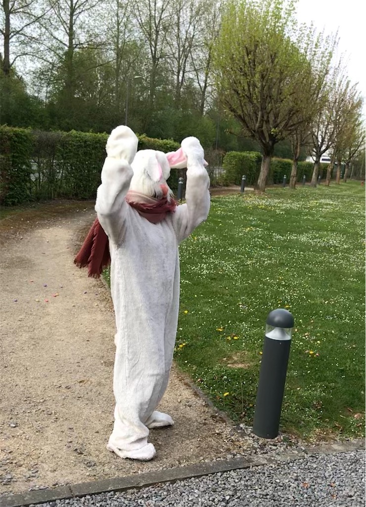 f:id:PommePommeRingo:20220420053247j:image