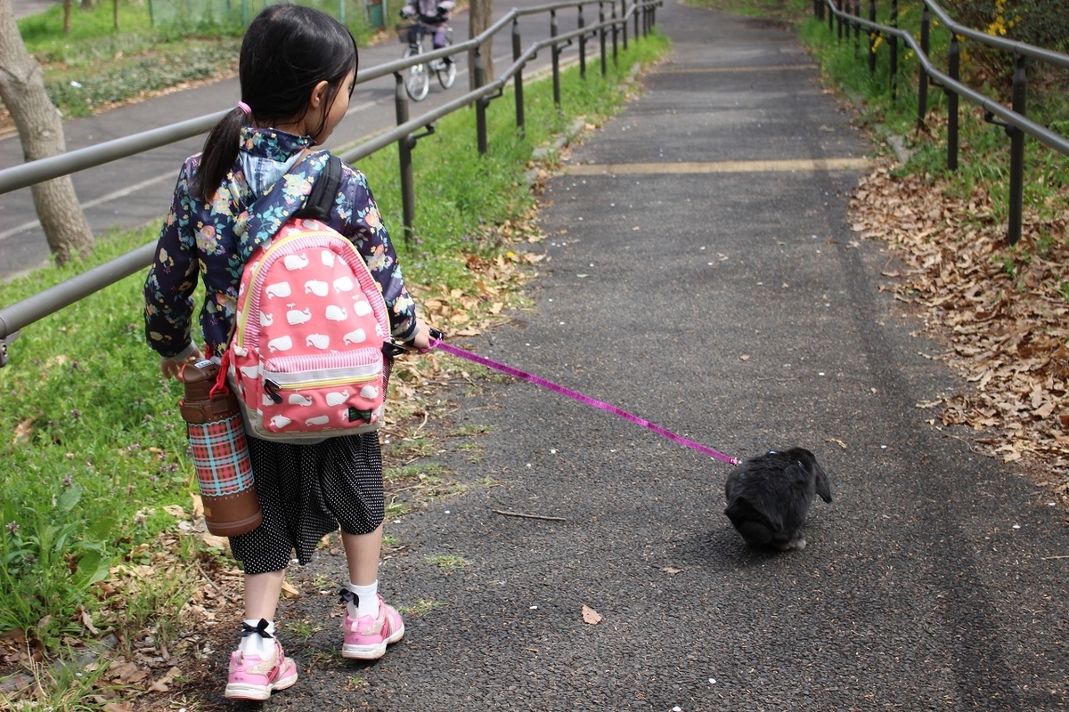 f:id:Ponz-rabbit:20190520232241j:plain f:id:Ponz-rabbit:20190520232241j:plain