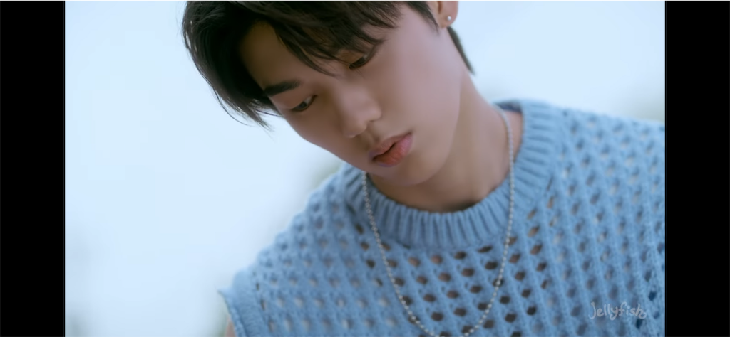 EVNNE シールセット イジョンヒョン JOON