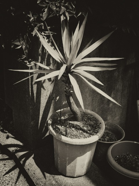 f:id:PortHill:20190618205542j:image f:id:PortHill:20190618205542j:image