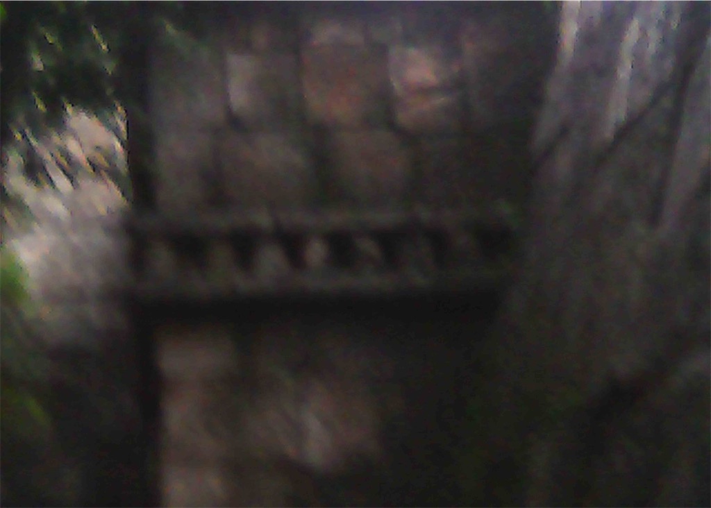 f:id:PostZundaRock:20241003023235j:image