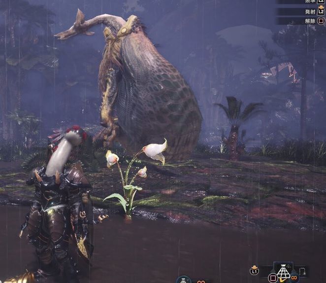 Mhw 環境生物 ネッカー の捕まえ方と重要バウンティ出現方法 モンハン攻略戦記