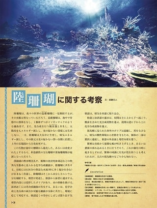 陸珊瑚