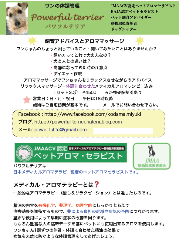 f:id:Powerful-terrier:20160911115523p:plain f:id:Powerful-terrier:20160911115523p:plain