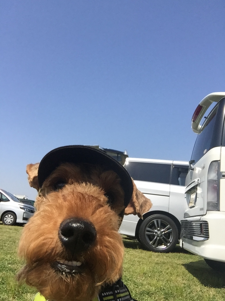 f:id:Powerful-terrier:20170430231112j:plain f:id:Powerful-terrier:20170430231112j:plain