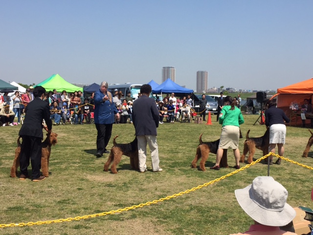 f:id:Powerful-terrier:20170430231602j:plain f:id:Powerful-terrier:20170430231602j:plain