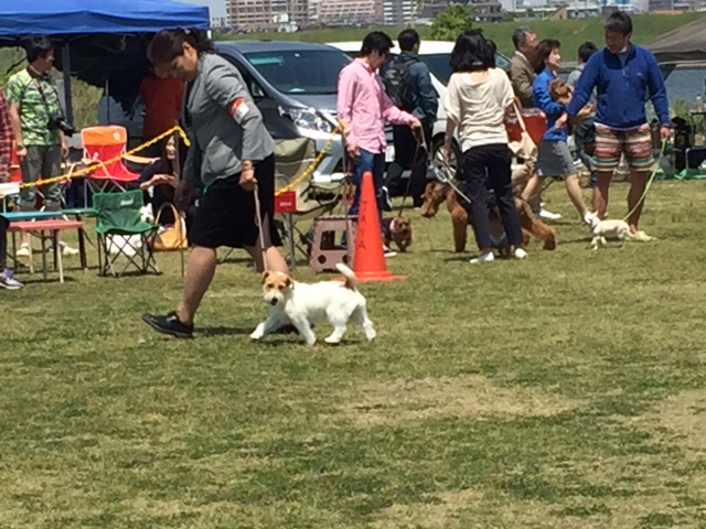 f:id:Powerful-terrier:20170430232142j:plain f:id:Powerful-terrier:20170430232142j:plain