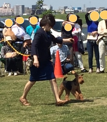f:id:Powerful-terrier:20170430233408j:plain f:id:Powerful-terrier:20170430233408j:plain