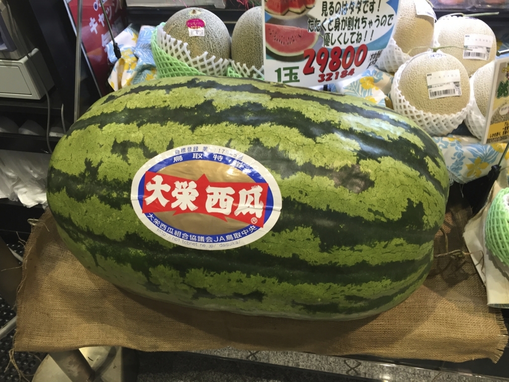 f:id:Powerful-terrier:20170720194511j:plain