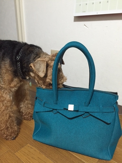 f:id:Powerful-terrier:20170813214816j:plain
