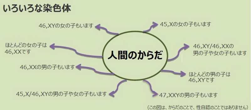 f:id:PracticaDSD:20140730100557j:image:w640