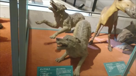 f:id:Prehistoriclifeman:20200119074223p:plain f:id:Prehistoriclifeman:20200119074223p:plain