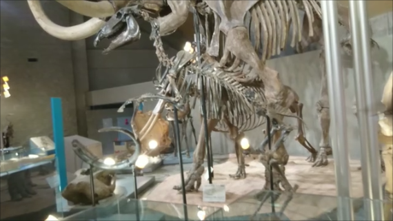 f:id:Prehistoriclifeman:20200119074545p:plain f:id:Prehistoriclifeman:20200119074545p:plain