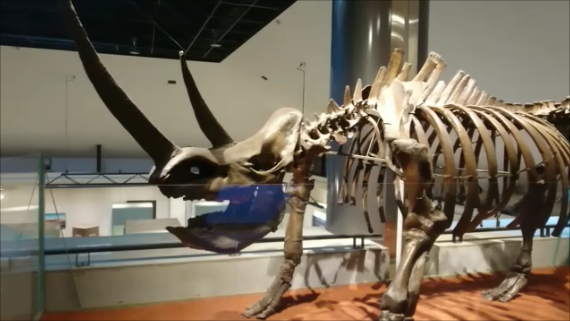 f:id:Prehistoriclifeman:20200119074618p:plain f:id:Prehistoriclifeman:20200119074618p:plain
