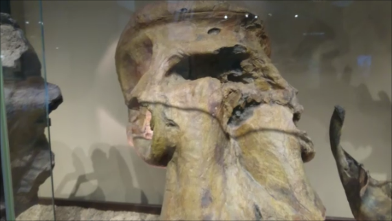 f:id:Prehistoriclifeman:20200121211201p:plain f:id:Prehistoriclifeman:20200121211201p:plain