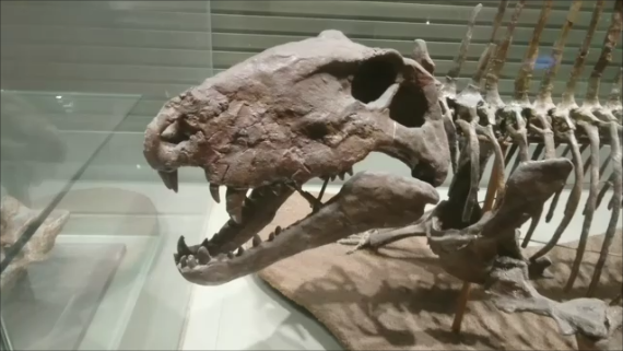 f:id:Prehistoriclifeman:20200127214536p:plain f:id:Prehistoriclifeman:20200127214536p:plain