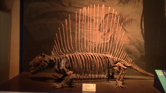 f:id:Prehistoriclifeman:20200127214921p:plain f:id:Prehistoriclifeman:20200127214921p:plain