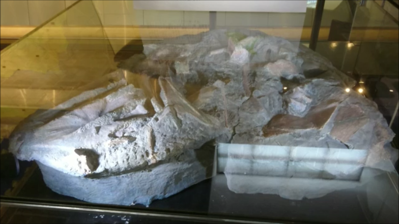 f:id:Prehistoriclifeman:20200130073227p:plain