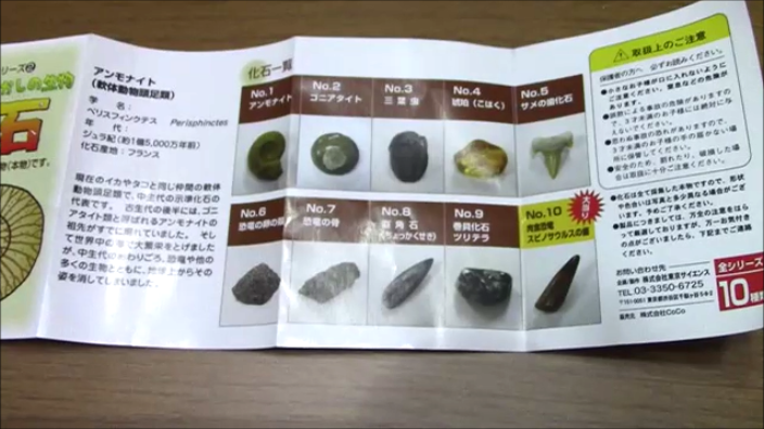 古生物ガチャ】自然科学シリーズ② 絶滅した大昔の生物 化石