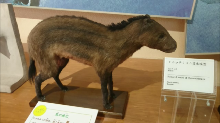 f:id:Prehistoriclifeman:20200426155509p:plain