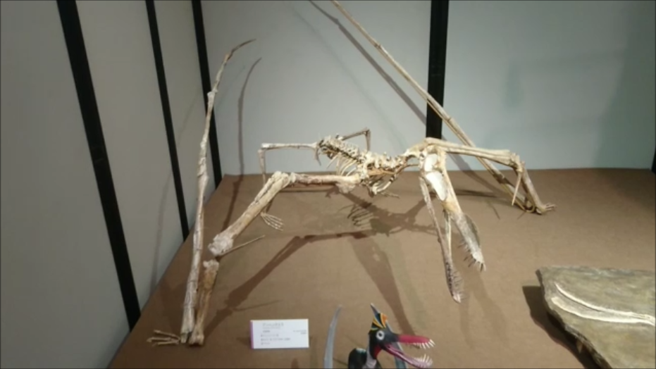 f:id:Prehistoriclifeman:20200812093537p:plain