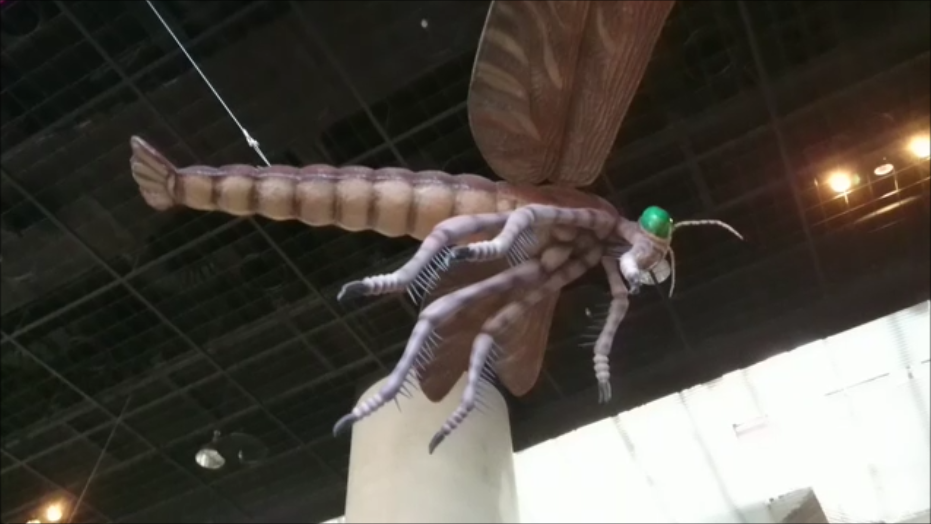f:id:Prehistoriclifeman:20200822095844p:plain