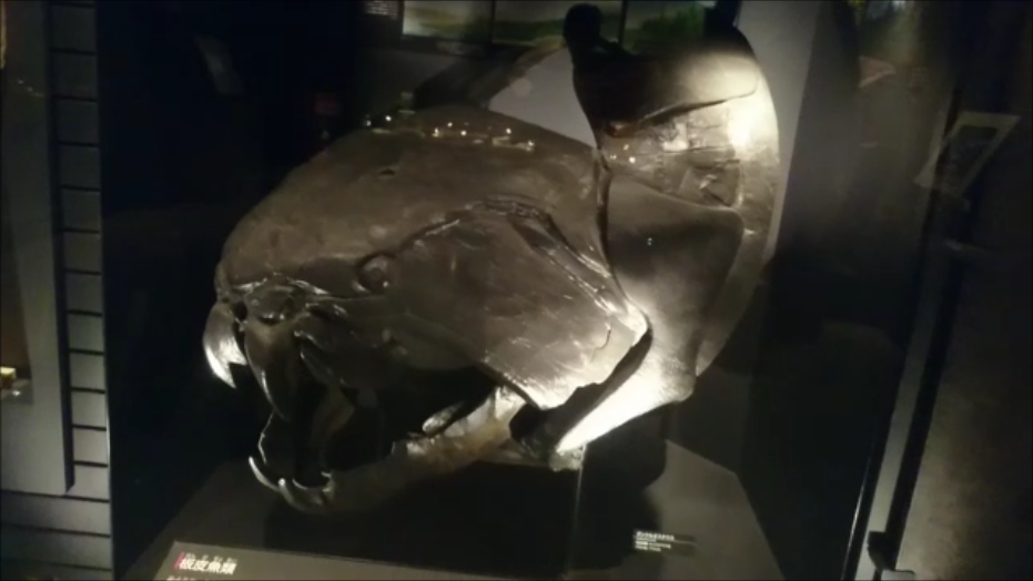 f:id:Prehistoriclifeman:20200822161943p:plain f:id:Prehistoriclifeman:20200822161943p:plain