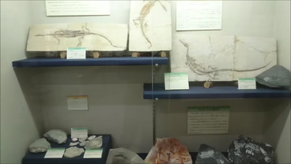 f:id:Prehistoriclifeman:20200823153052p:plain