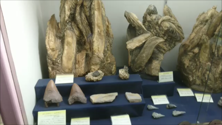 f:id:Prehistoriclifeman:20200823153729p:plain