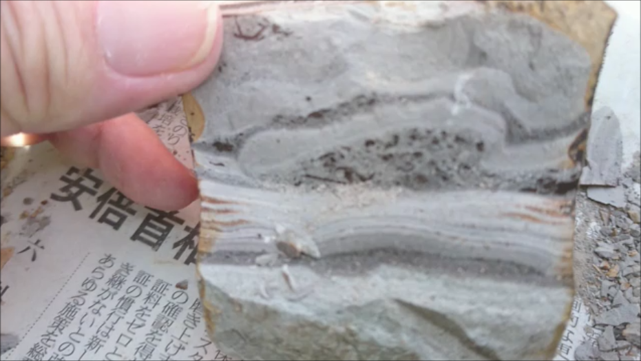 f:id:Prehistoriclifeman:20200823164708p:plain