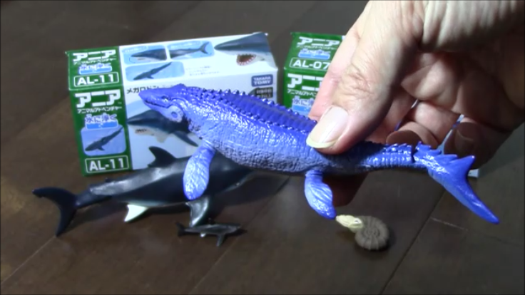 古生物玩具 アニア モササウルス メガロドン Prehistoriclifemanの日記 古生物玩具 アニア モササウルス メガロドン Prehistoriclifemanの日記
