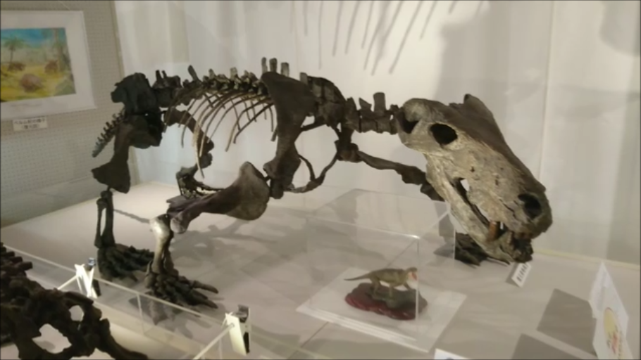 古生物スポット紹介 葛生化石館 Prehistoriclifemanの日記