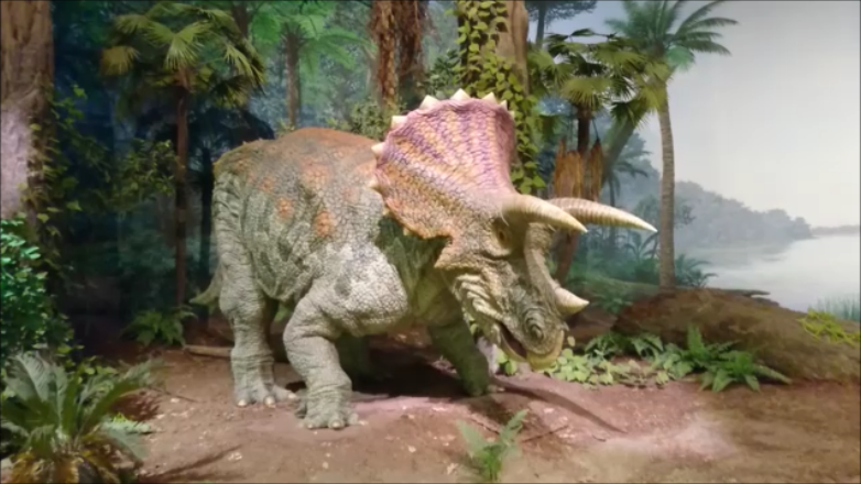 f:id:Prehistoriclifeman:20210305223246p:plain
