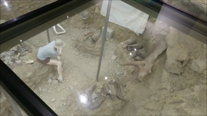 f:id:Prehistoriclifeman:20210305223651p:plain