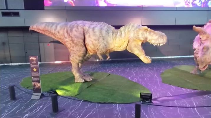 f:id:Prehistoriclifeman:20210305224309p:plain
