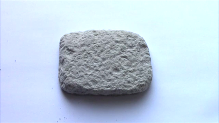 古生物玩具】化石発掘クリーニングセット パートⅠ 古生代篇