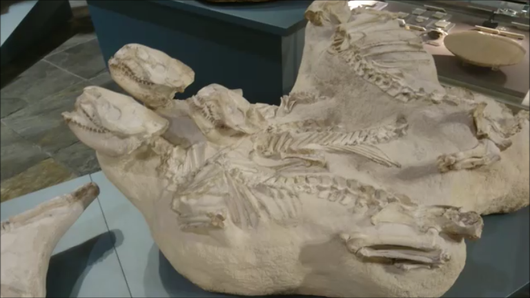 f:id:Prehistoriclifeman:20210418164549p:plain